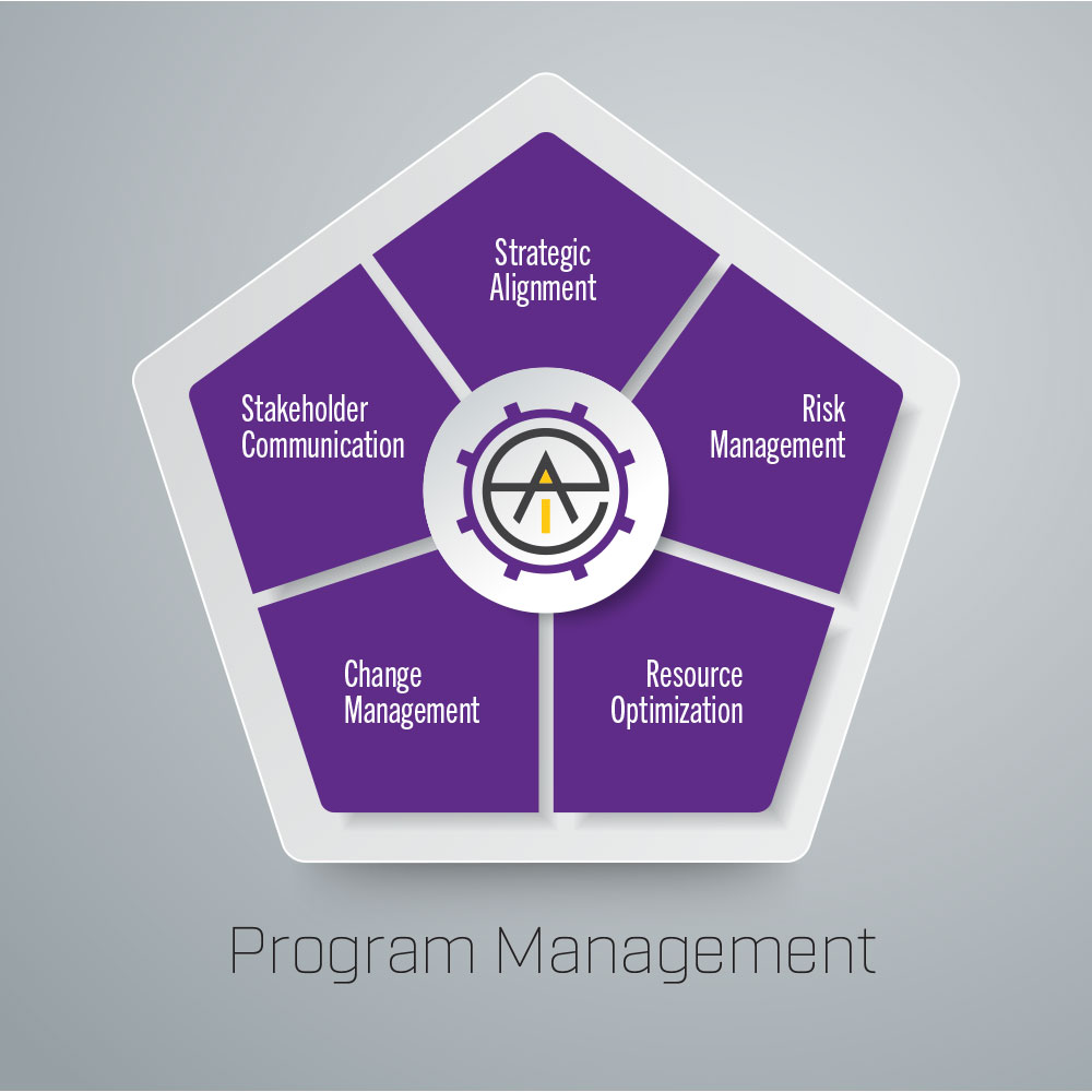 Enterprise Program Management, Enterprise Program Risk Management